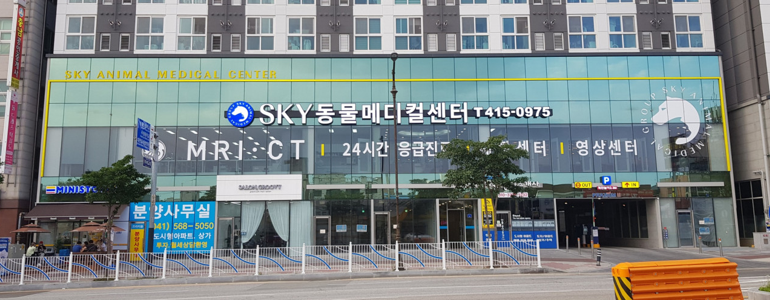 천안 서북구 동물병원