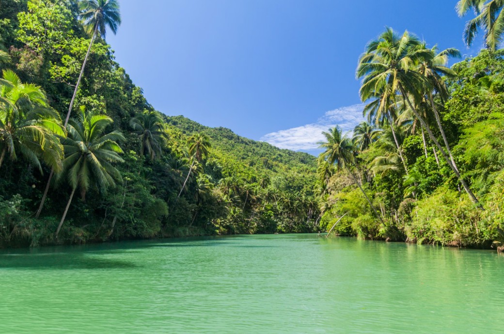 보홀 관련 사진