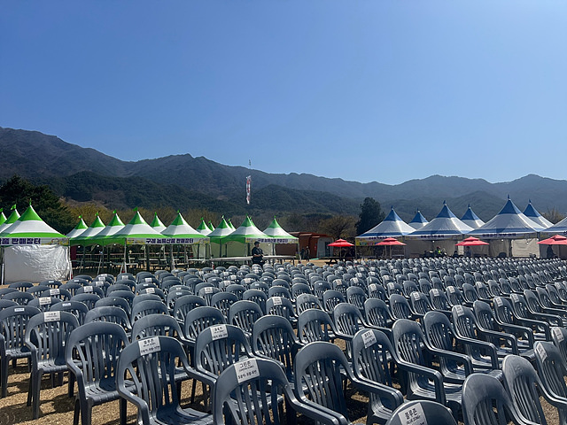 구례 산수유축제 기간 초대가수 맛집 주차