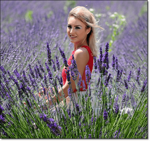 라벤더 꽃과 미녀 