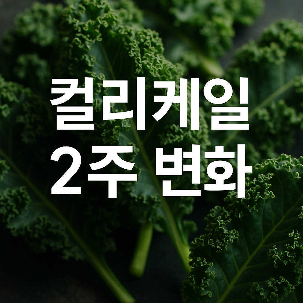 하루 한 줌 컬리케일, 2주 후 변화