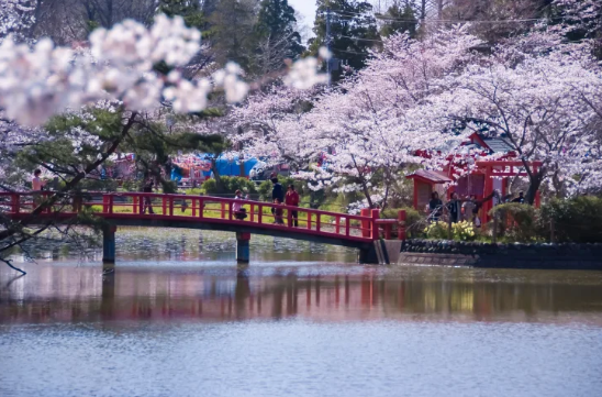 ์ผ๋ณธ ๋ฒ๊ฝ ๋ช
์