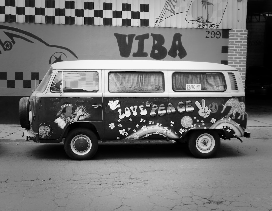 VIN (Vehicle Identification Number)