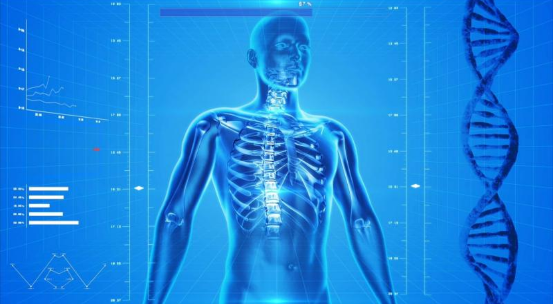 인체를 표현한 그래픽 사진