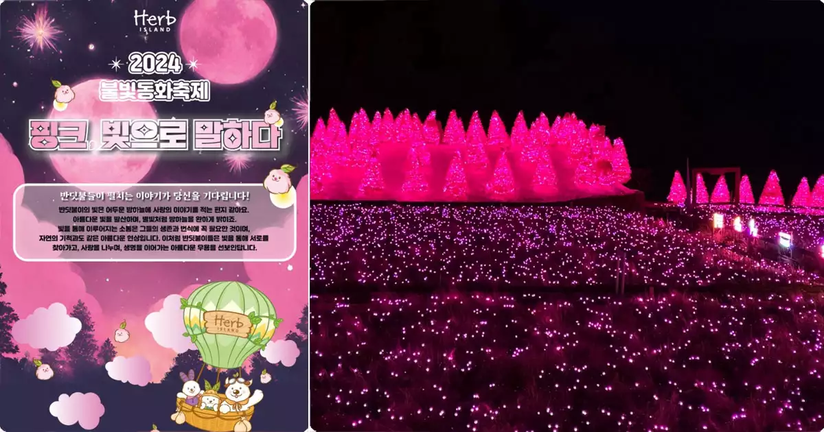 빛축제 허브아일랜드 불빛동화축제