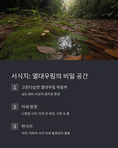 열대우림의 습한 낙엽층과 나뭇가지 위