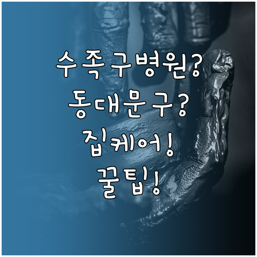 동대문구 수족구 병원 선택부터 집에서..