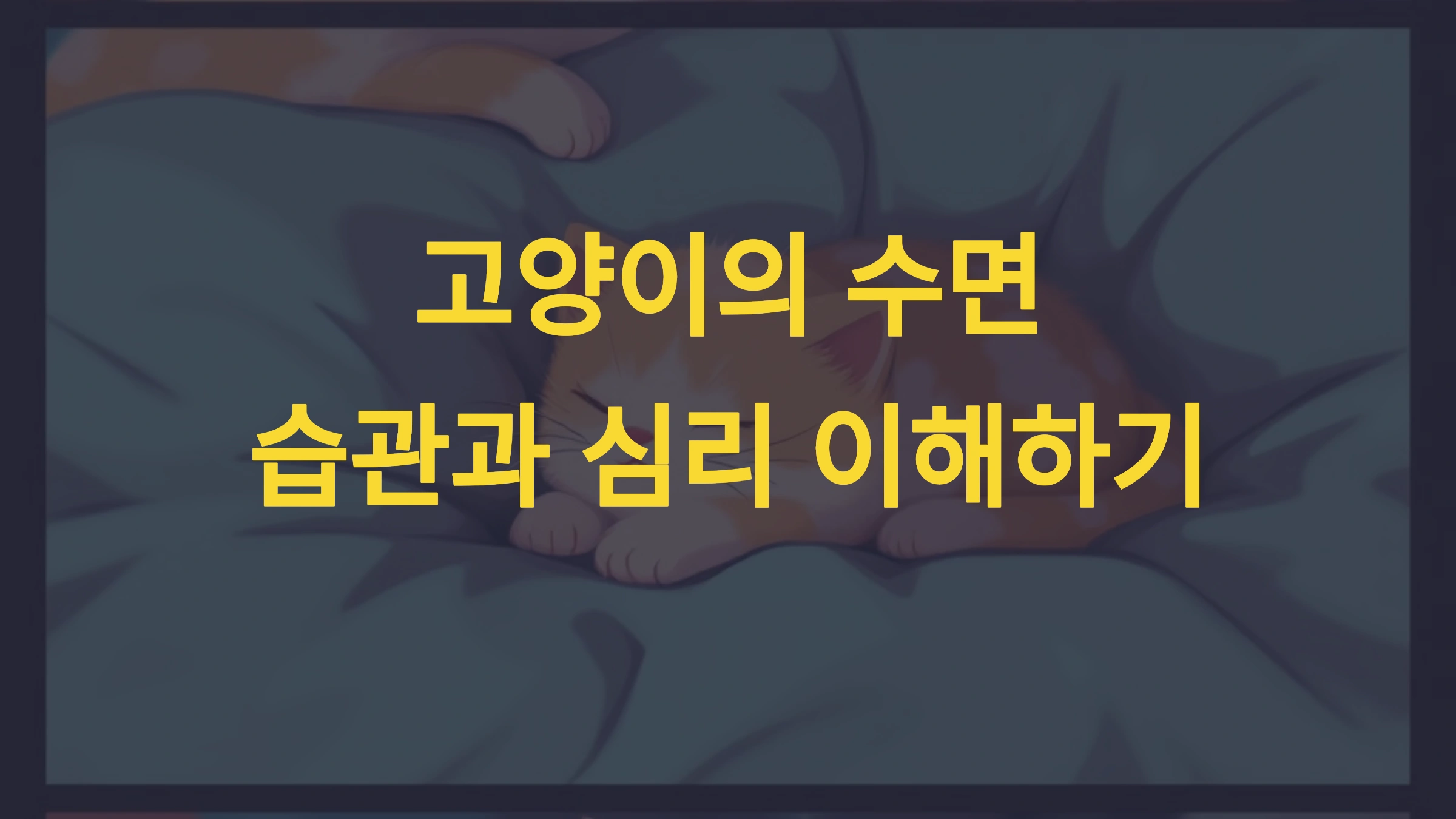 🐱 고양이가 잠자리를 자주 바꾸는 이유와 심리