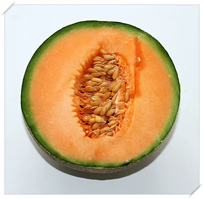 식도염 좋은 음식