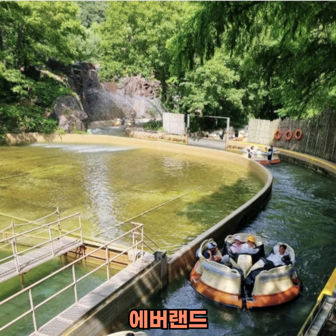 에버랜드 꿀팁