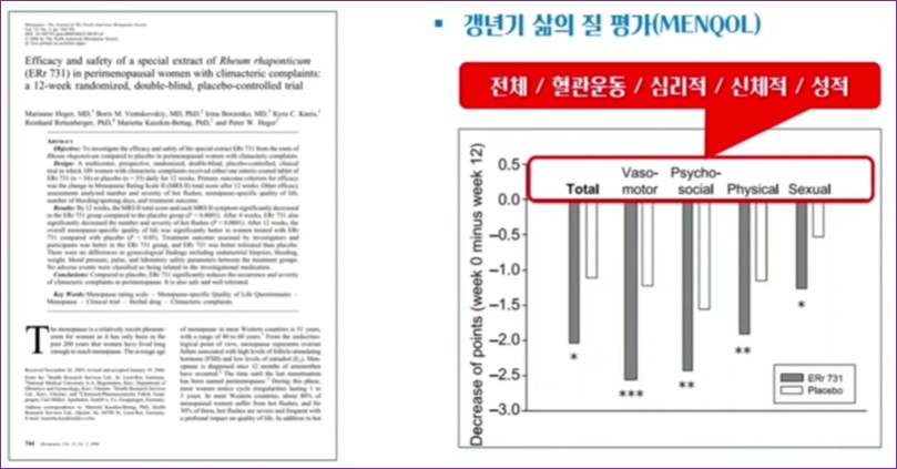 갱년기