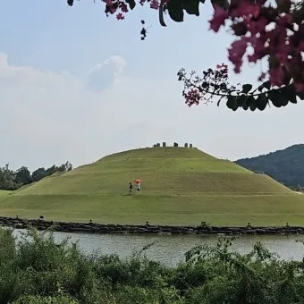 순천 가볼만한곳 베스트10 순천만 갈대밭 숨겨진 명소_14