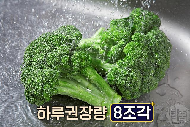 면역력 올리는 음식 브로콜리 하루권장량