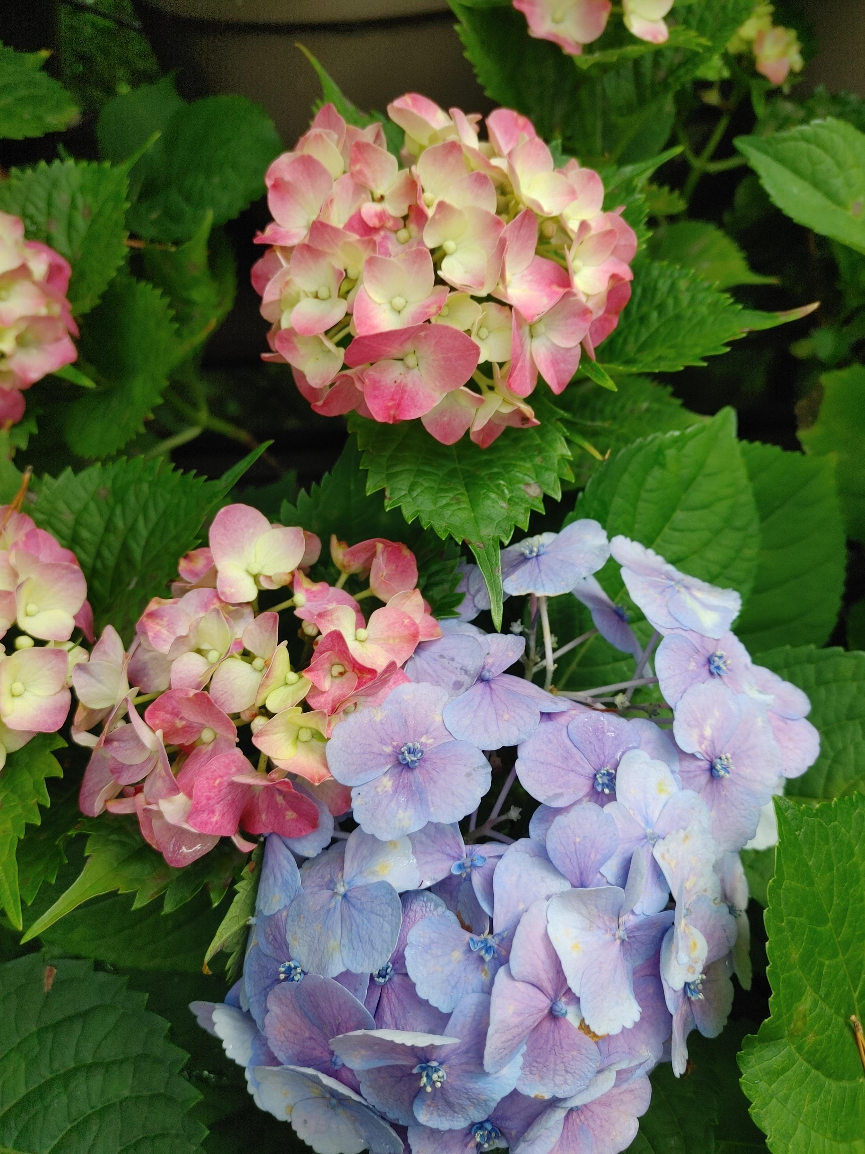 화담숲 예약방법 총정리!