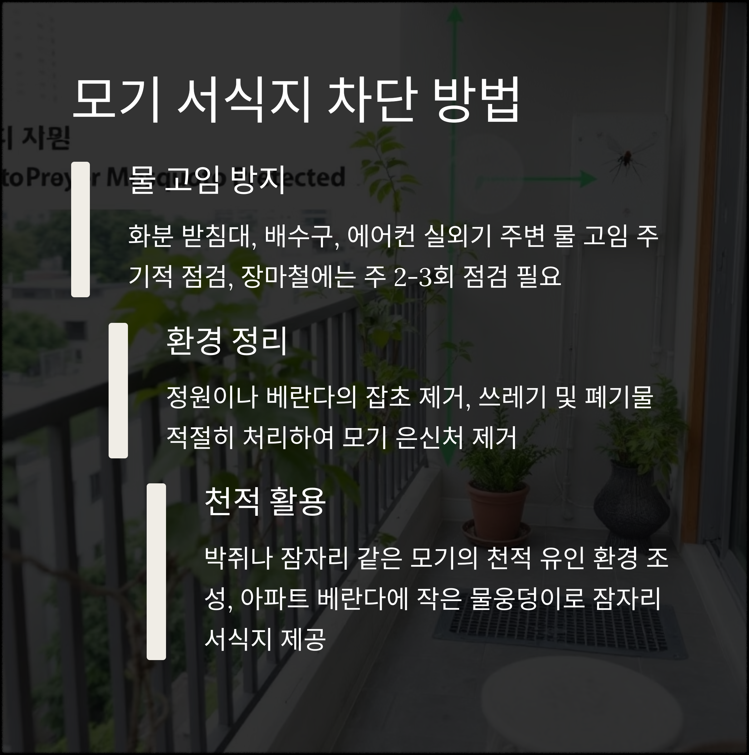 여름철 모기 퇴치법 총정리! 전자 모기향부터 천연 기피제까지 비교