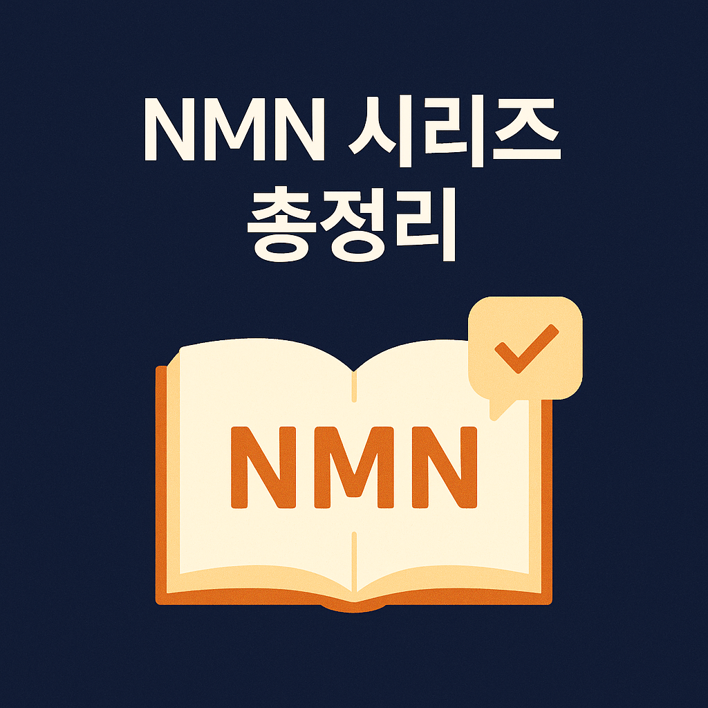 nmn시리즈 총정리 썸네일 이미지