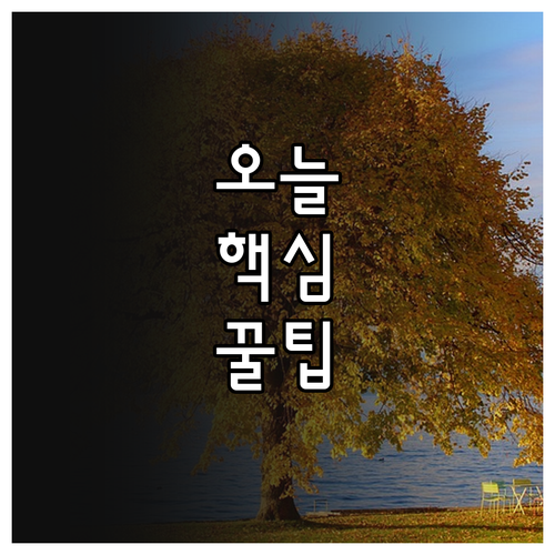 임신 준비 여성 의정부 2025년 엽..