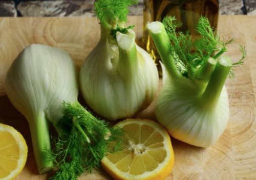 회향 펜넬 식물성 에스트로겐