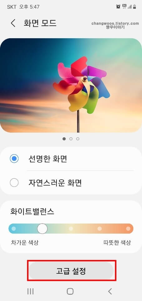 고급-설정-버튼