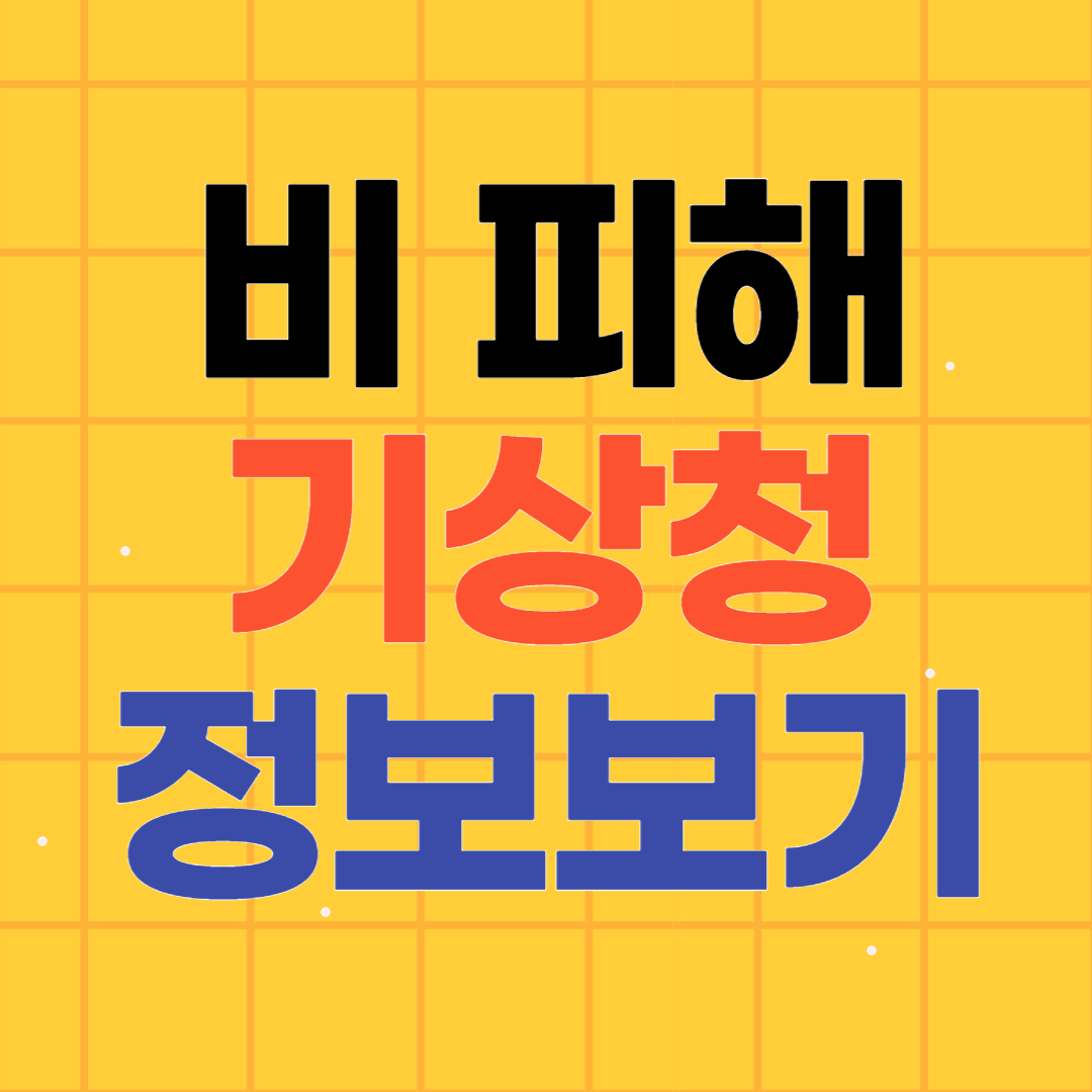 전국 비 피해 상황 기상상황 정보보기