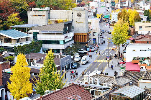 청와대 관람 예약 주차 
