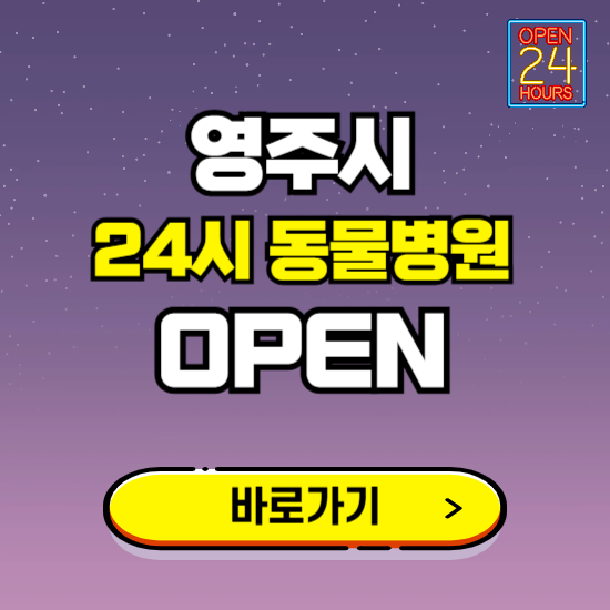 영주시 24시 동물병원 진료하는 곳 ❘ 설날 휴일 야간 심야 문여는곳 찾기 ❘ 응급진료