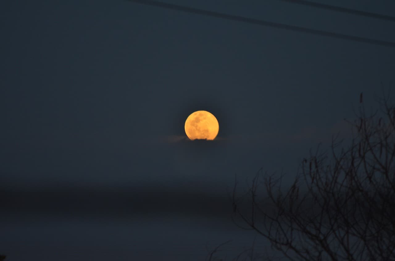 로마 콘크리트의 핵심 특성 – 우주 건축에 적용될 수 있을까?