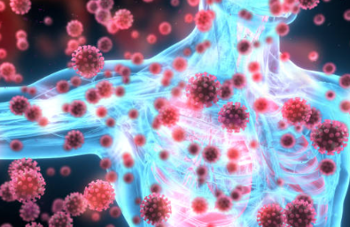 파래무침 만드는 법