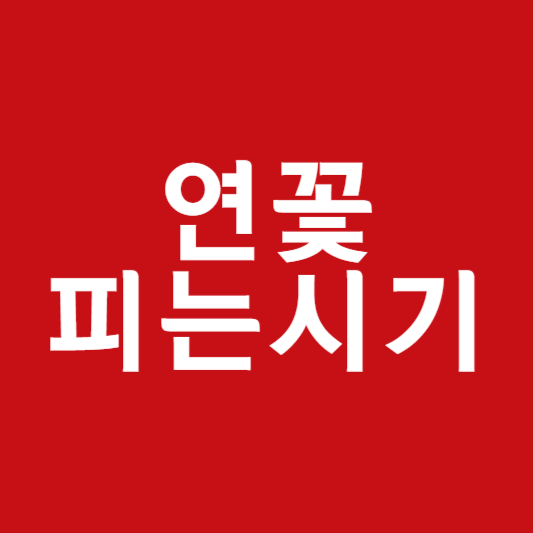 연꽃피는시기
