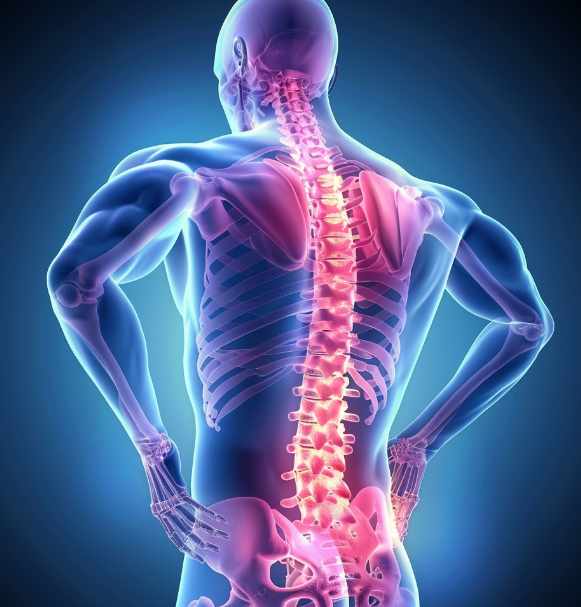 등 통증 부위 위치