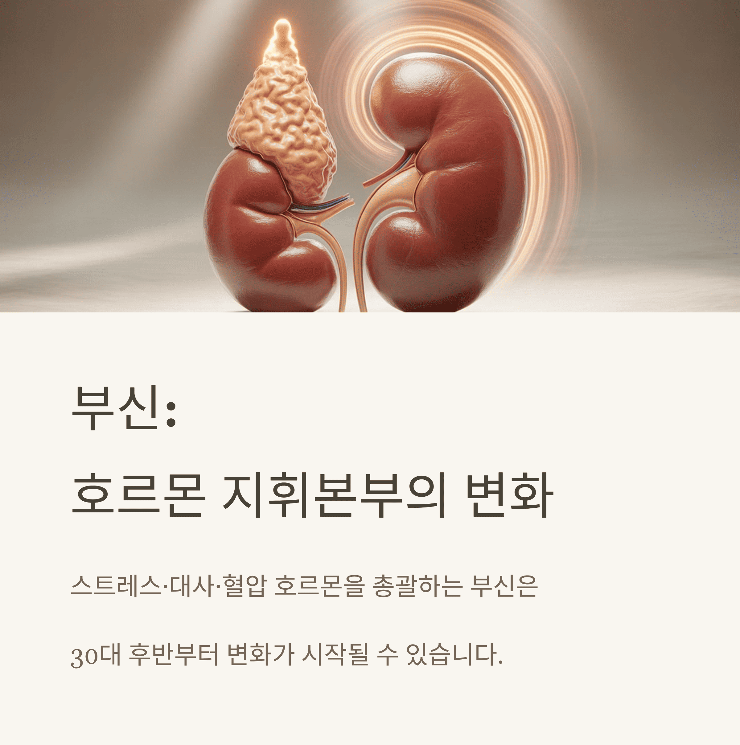50세 전후 급속한 노화의 과학적 근거