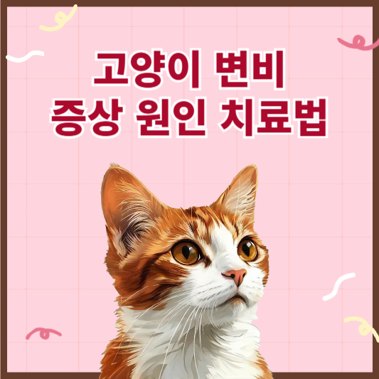 고양이 변비