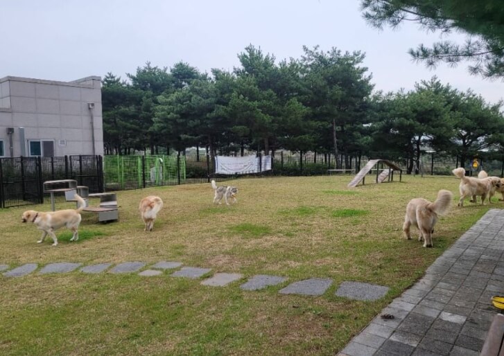청주 가볼만한곳 베스트 10
