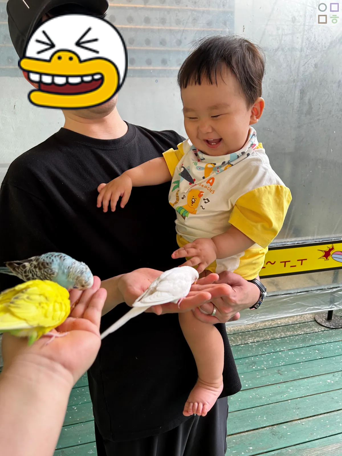 새들을-보고-활짝-웃는-아기-모이-체험