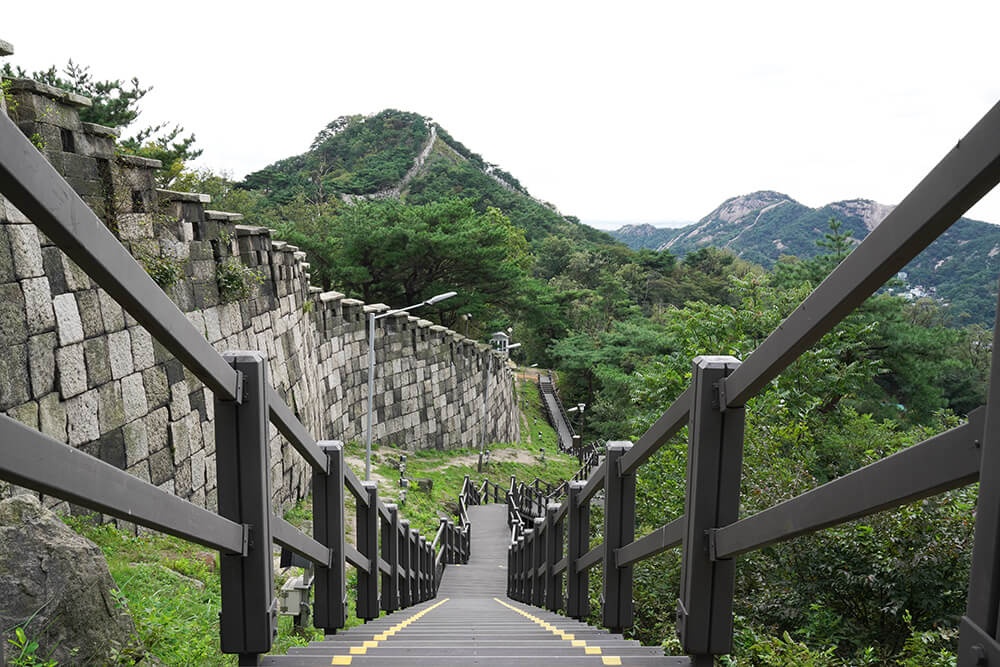 청와대 관람 신청 예약