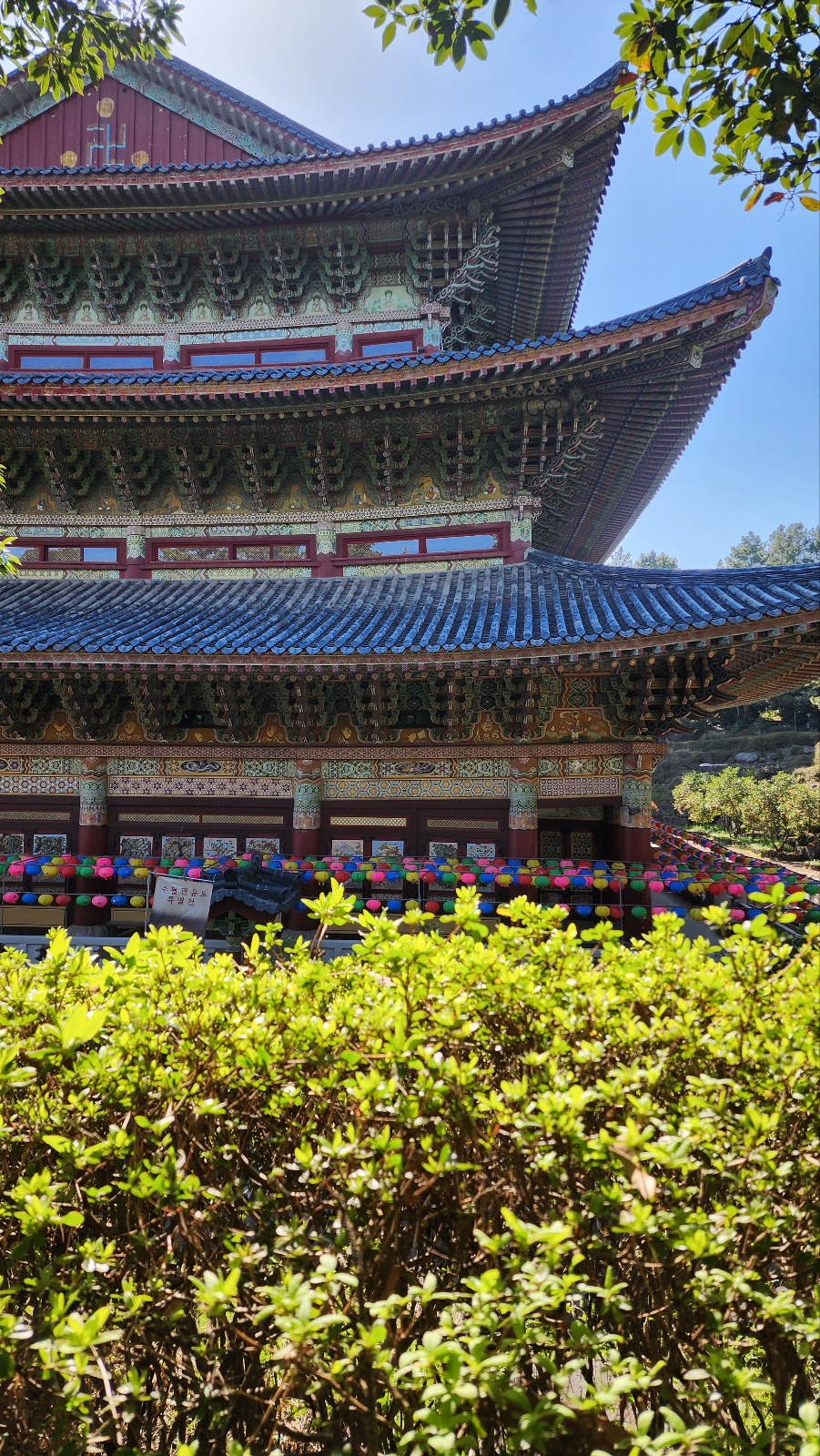제주도 꼭 가볼 만한 곳-약천사-역사부터 템플스테이까지 