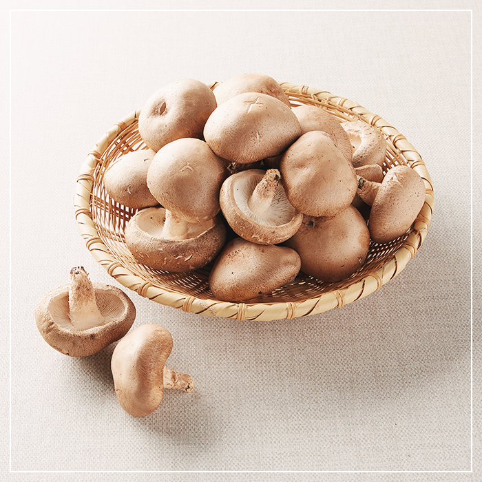 표고버섯-보관방법