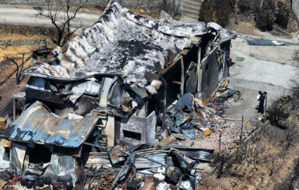 왜 처벌이 약한가