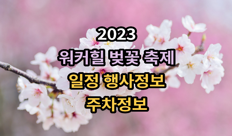 워커힐벚꽃