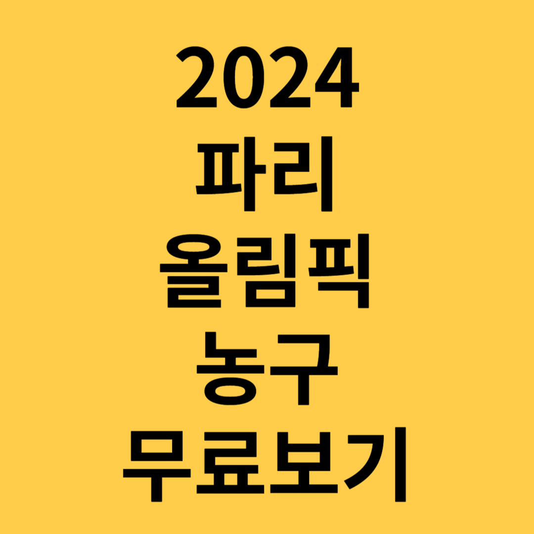 2024파리올림픽농구규칙역사일정