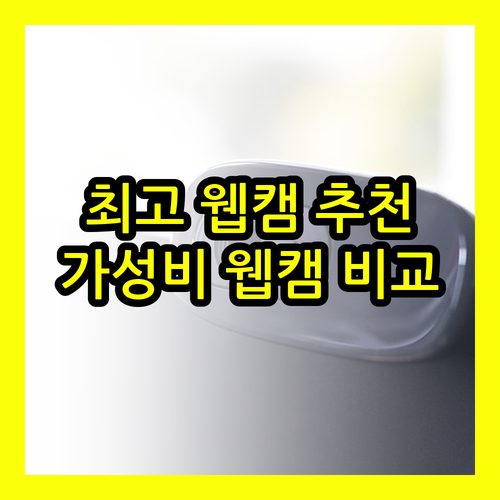 유튜브 스트리밍에 최적 웹캠은? 성능