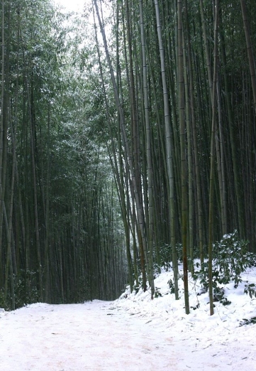 1월 전라남도 가볼만한곳 추천 ❘ 새해 신년 국내 겨울 여행지 ❘ 전라도 명소 ❘ 가족 실내 데이트