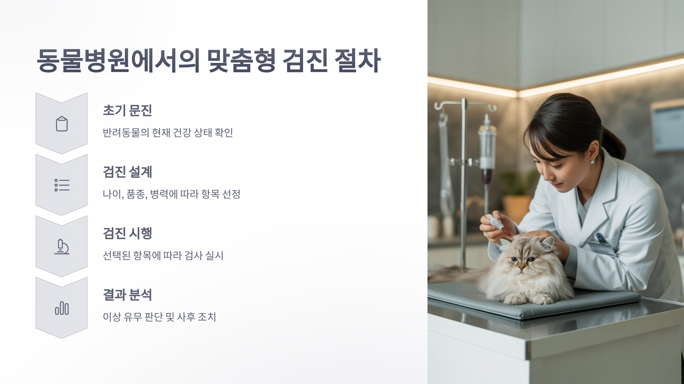 참조-맞춤형-검진,-동물병원-3