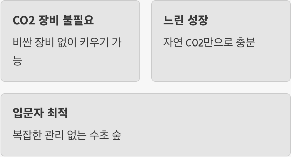 이산화탄소(CO2) 없이도 OK