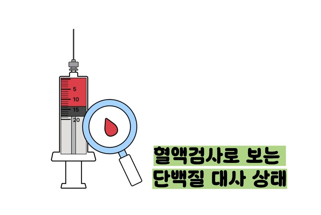 BUN 수치