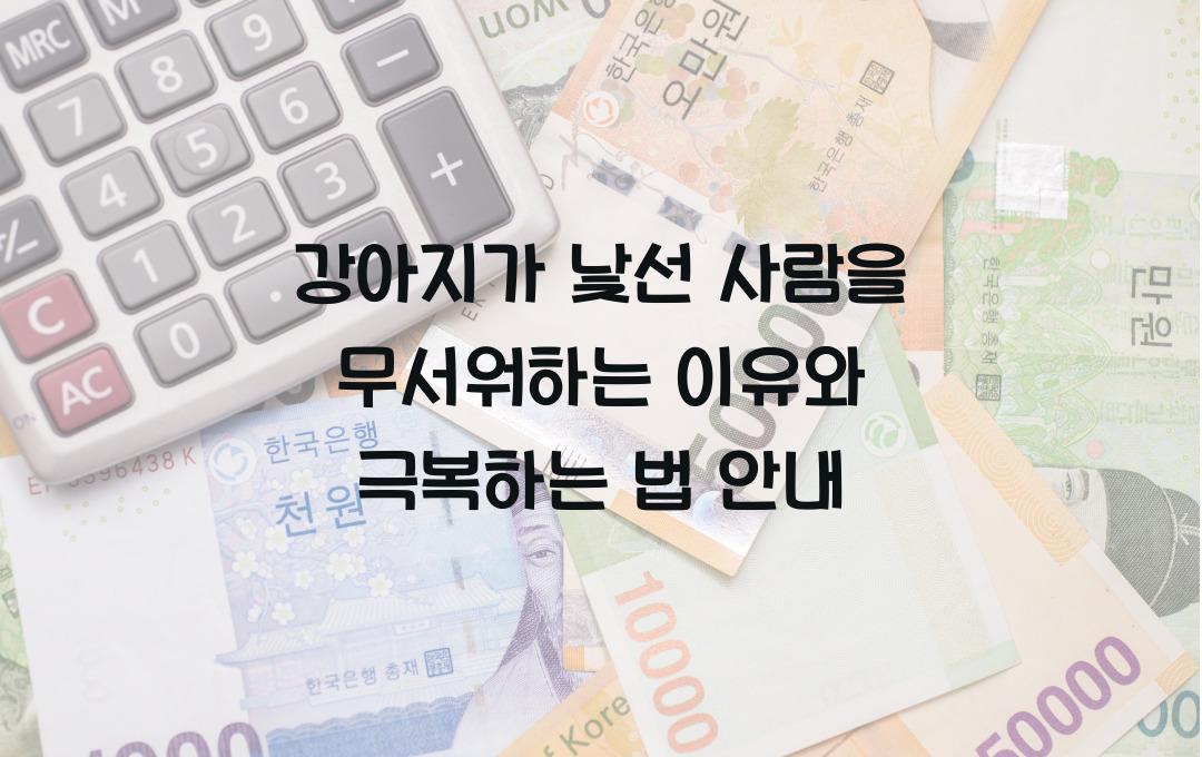 강아지가 낯선 사람을 무서워하는 이유와 극복 방법