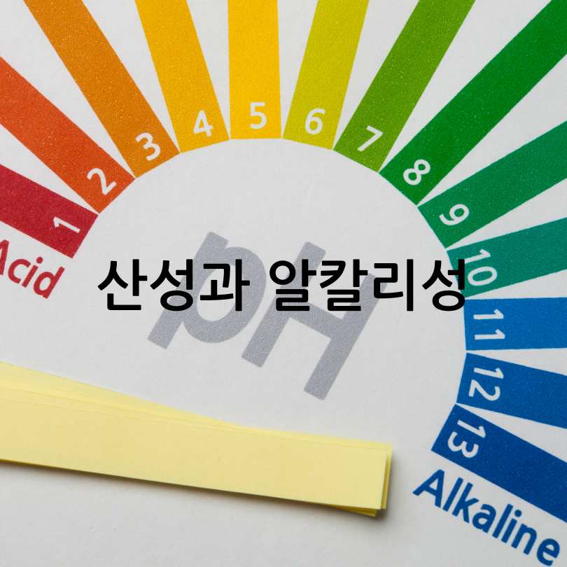 알칼리성 항암식단