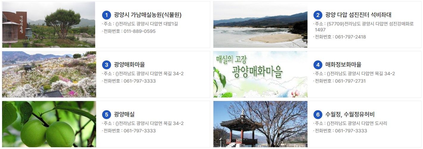 출처 : 광양매화축제 홈페이지