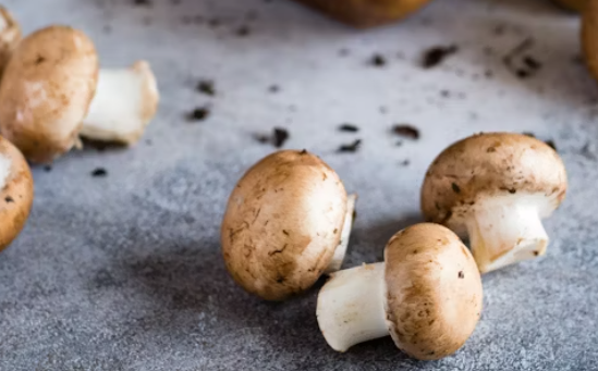 표고 버섯 효능