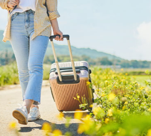 여행가는 달 철도 및 항공 카셰어링 할인